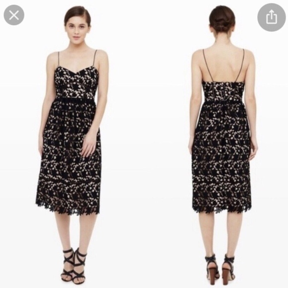 Club Monaco Bolsti Black Lace Overlace Midi Dress, 33918 - Picture 1 of 11